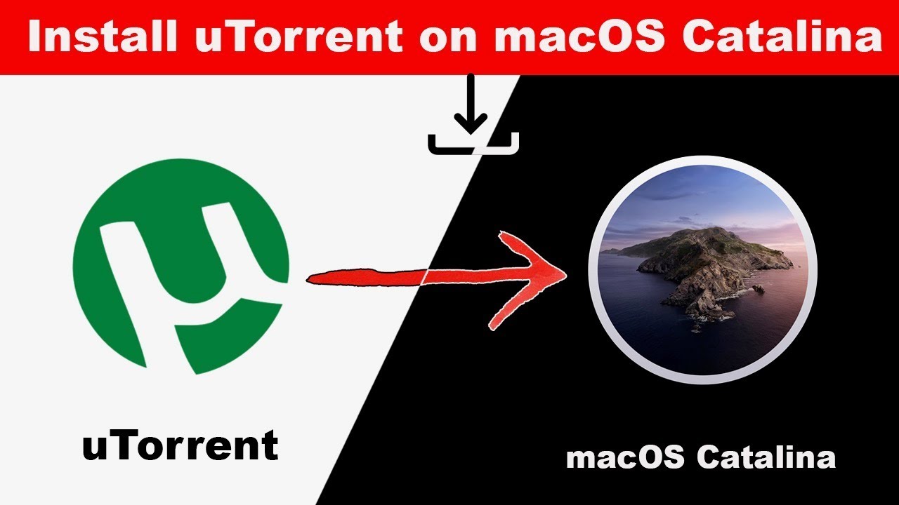 torrent mac not working